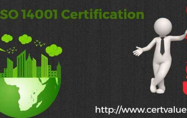 Steps to be followed during ISO 14001 certification.