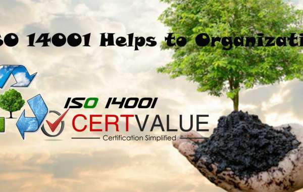 What are the Structures of ISO 14001 Certification in Kuwait?