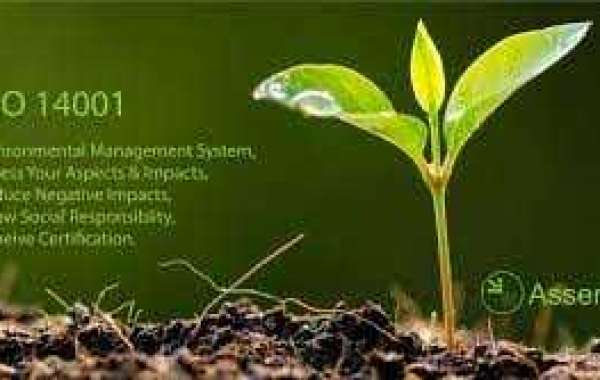 Most Important Key Elements in a Successful Environmental Management System in Oman?