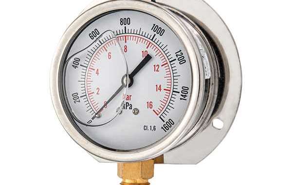 Vibration, pulsation and pressure peaks are the most common causes of pressure gauge performance degradation and failure