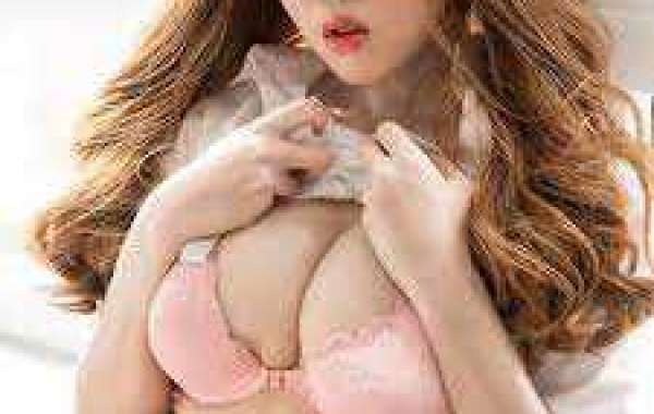Enjoy a Host of Sexual Services with Independent Call Girls in Ajmer