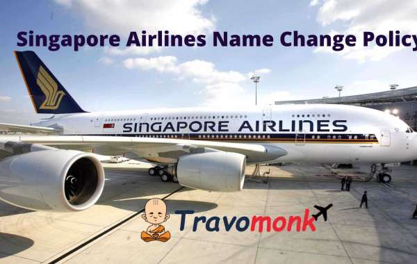 Singapore Airlines Name Change Policy