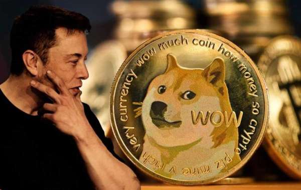 Is Dogecoin a Good Investment 2022?
