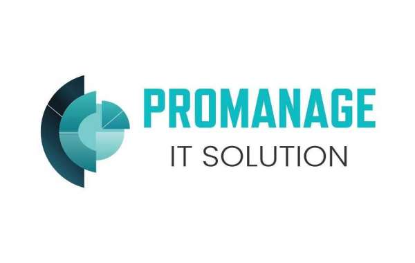 Promanage IT Solutions