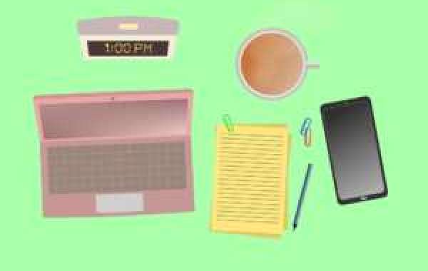 Top 4 Career Options for Economics Students