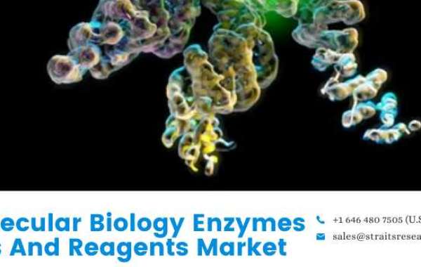 Molecular Biology Enzymes Kits And Reagents Market Growth Set to Witness Adamant CAGR and Forecast by 2026