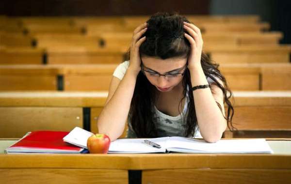 Law Assignment Writing Help Online