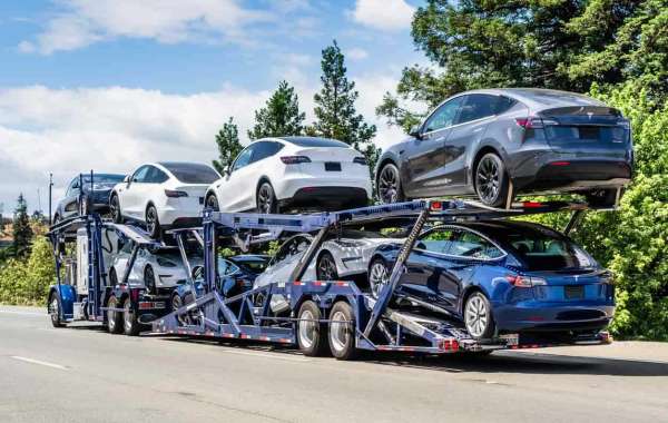 Top 20 United States Car Transport Companies