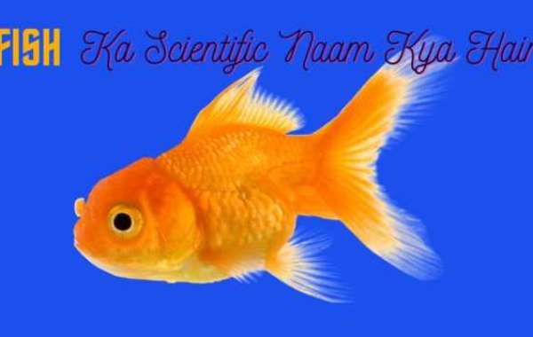 Goldfish Ka Scientific Naam Kya Hai