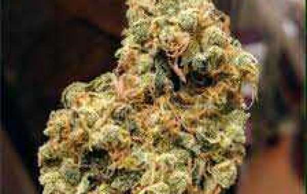 Some Best Marijuana Strains