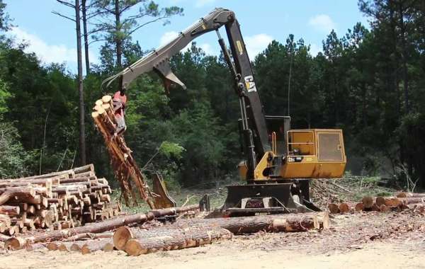 Major Effects of Land Clearing