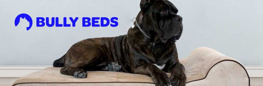 Bully Beds Cover Image