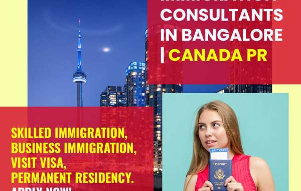 What Is The Best Provincial Nominee Program For Immigration In 2021?