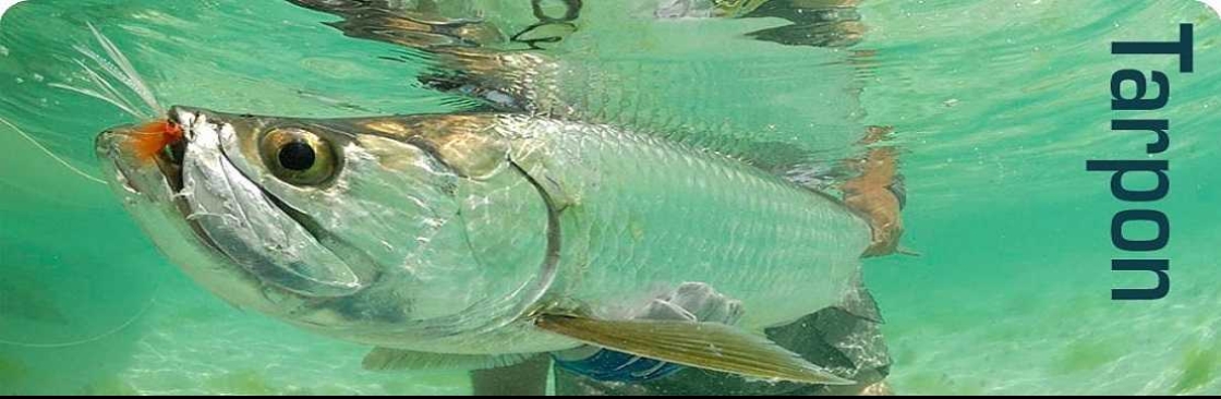 Captain Dustin Fishing Charters Cover Image
