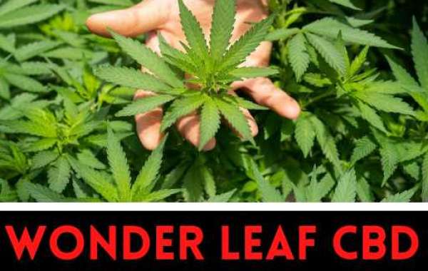 wonder leaf CBD oil Reviews 2022