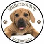 boerboel breeders Profile Picture