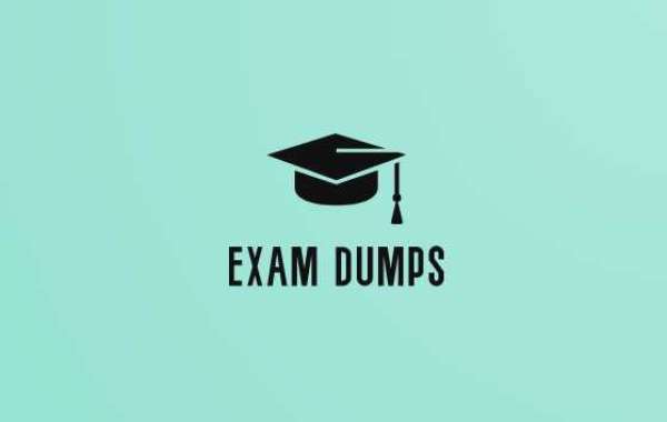 Exam Dumps You’ll get global elegance