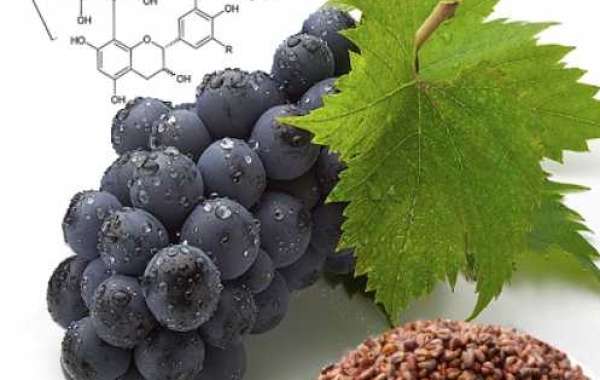 What are the benefits and functions of grape seed extract?