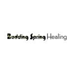 Budding Spring Healing Profile Picture
