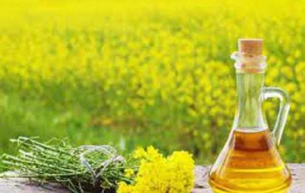 Indian Mustard Oil Market Expected to Rise at 4.5% CAGR during 2022-2027