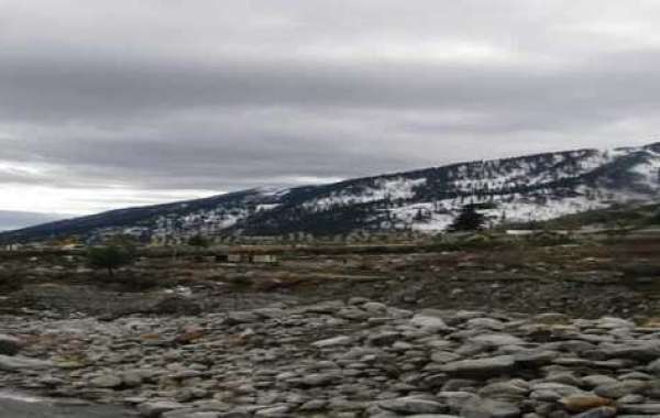 Naggar-Manali  The land of Cedar and Snow