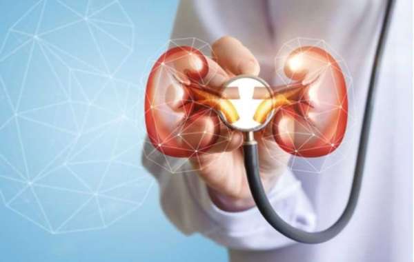 How Can You Keep Your Kidneys Working?