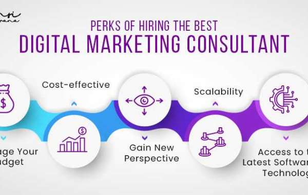 Perks of Hiring Best Digital Marketing Consultant in India