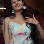 delhi escorts Profile Picture