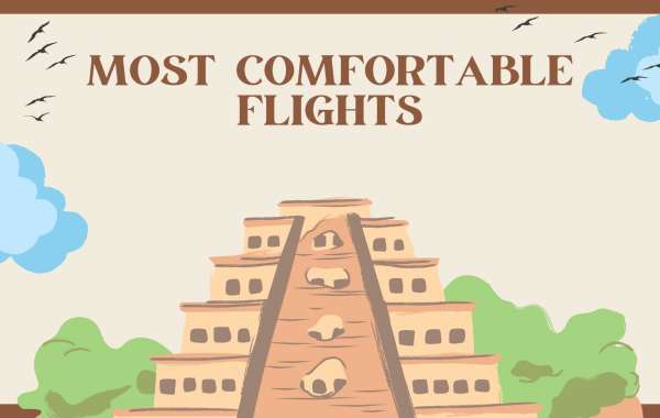 The Most Comfortable Flight: How to Find Best Alaska Airlines Flights