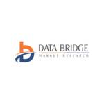 databriadge Profile Picture