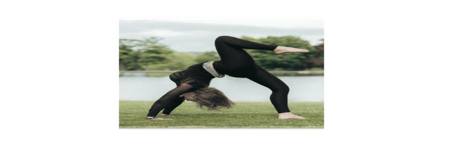 FreakToFit (FreakToFit) Cover Image