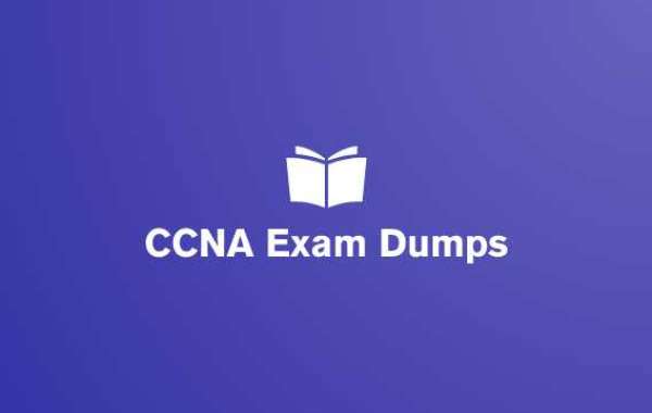 3 months up to date Cisco CCNA Exam Dumps