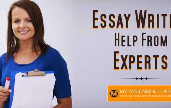 Step By Step Guide To Writing An Amazing Analytical Essay