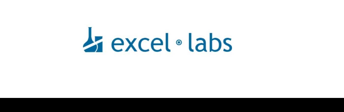 Excel Labs Cover Image