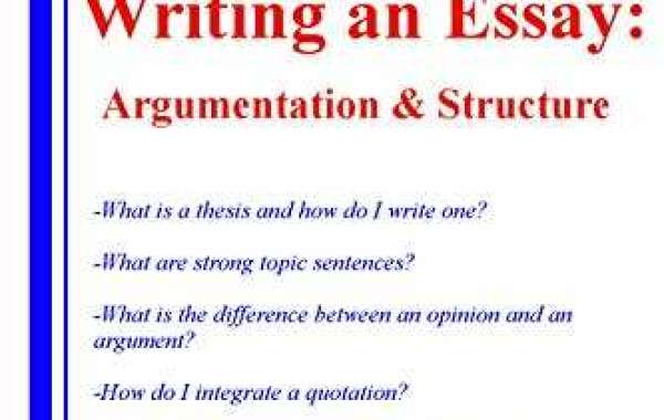 The Complete Guide to Choosing the Best Research Document Creating Support to suit your needs