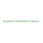 Scottish Fold Kitten Cattery Profile Picture