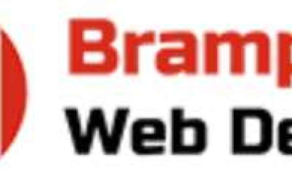 Web Design Hamilton for your Business Success