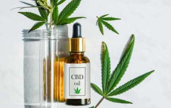 How To Choose The Best CBD Oil For Your Dog: Full Guide!