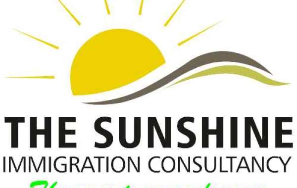 Are you looking for the Best Immigration Consultant in Chandigarh?