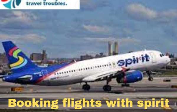 How to Connect with a live person at Spirit Airlines?