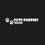 cs puppies LLC Profile Picture