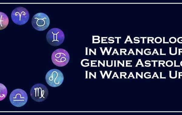 Best Astrologer in Warangal Urban | Black Magic & Vashikaran Astrologer