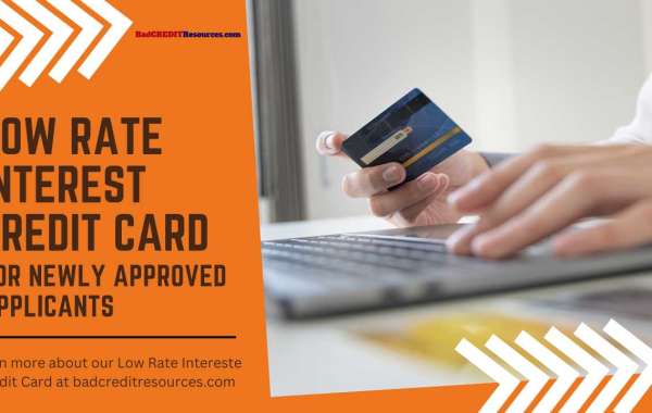 Best Low Interest Rate Credit Card For Newly Approved Applicants