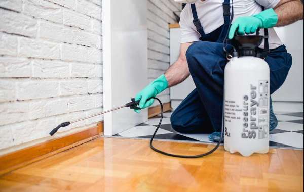 Bangladesh Pest Control Company - the Best Way to Keep Your Home Free of Pests
