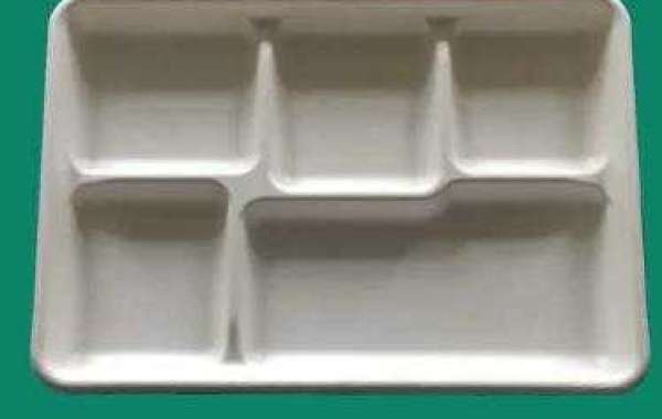 3 Reasons Why Biodegradable Cutlery 5 Compartment Tray is Amazing
