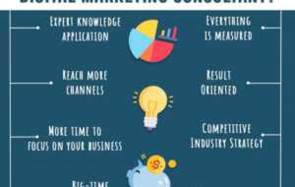 Digital Marketers In India Provide Holistic SEO Strategy For Your Business