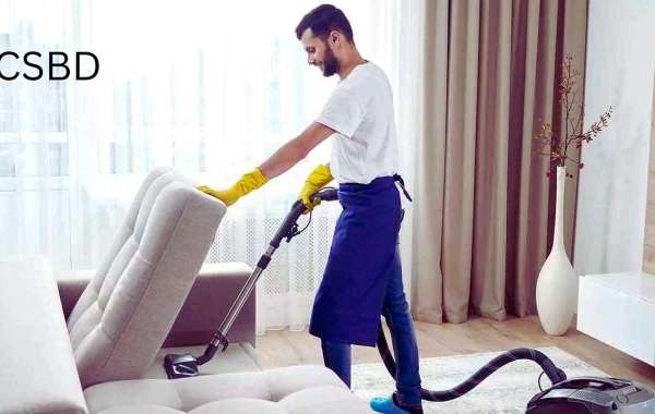 The best professional cleaning services provider