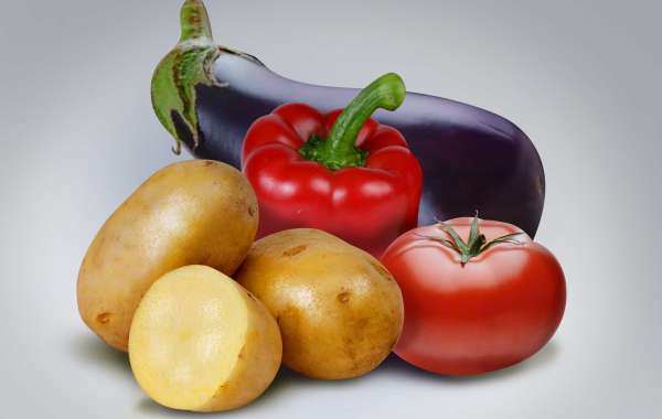 What is the digestive gain of solanaceous vegetables?