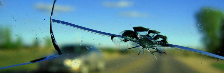 My Orange County Auto Glass Cover Image