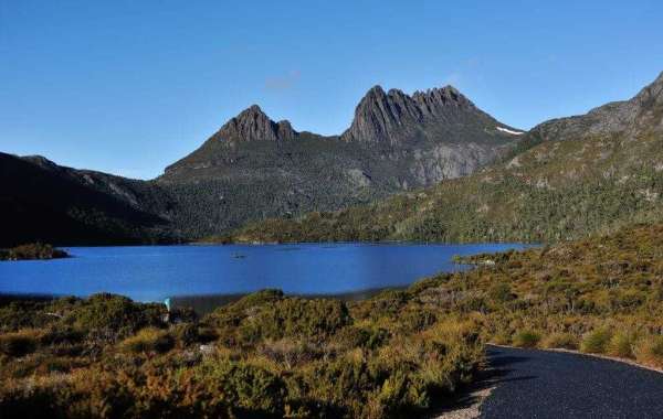 Why You Should Plan a Tasmania Tour
